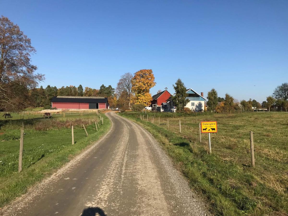 Stegemans Horse Hotel And Country Lodge Ljungby  Esterno foto