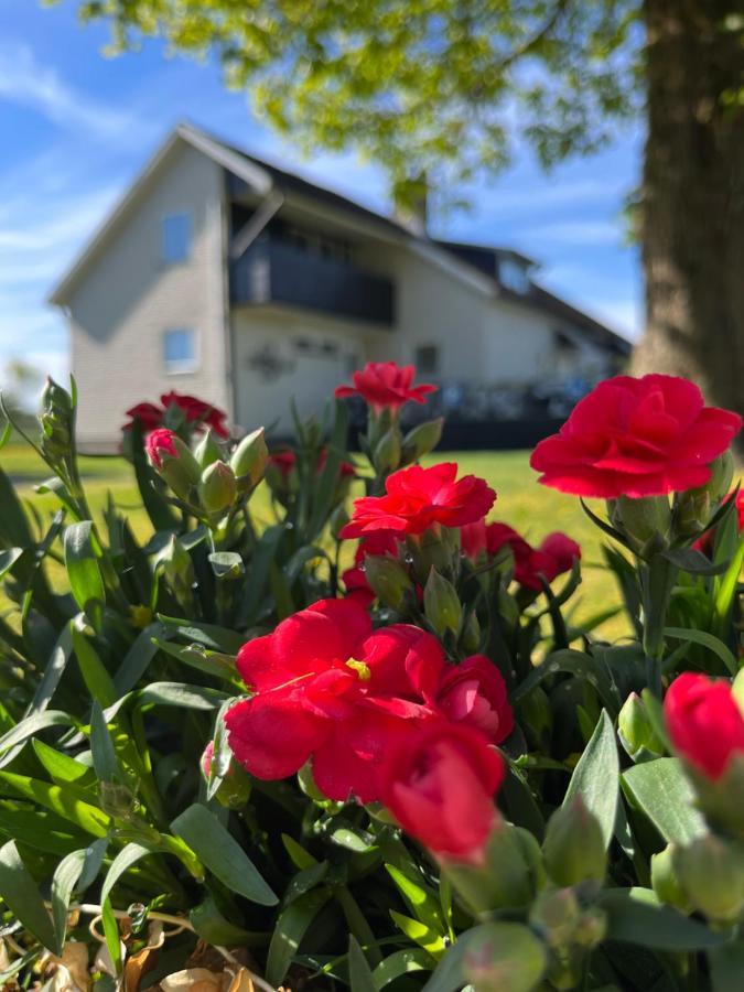 Stegemans Horse Hotel And Country Lodge Ljungby  Esterno foto